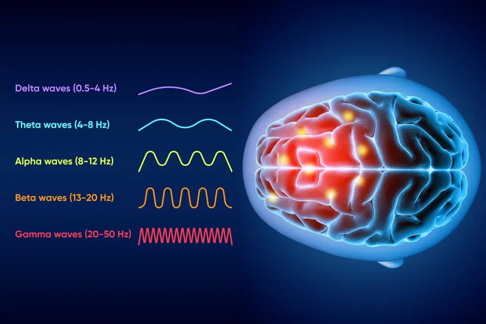Neurofeedback-Brainwebp - 70 West Counseling Graphic art showing brainwaves and brain