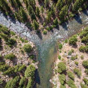 Image of two river tributaries coming together, symbolizing the integration of different parts of the mind and brain.