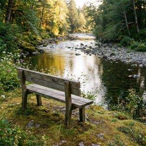 Empty wooden bench overlooking a calm stream, symbolizing a safe space for the nervous system to rest during trauma therapy.