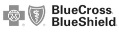 Blue Cross Blue Shield Logo